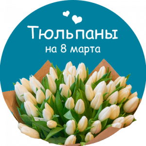 Купить тюльпаны в Пудоже